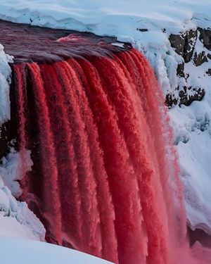 Image post by @fubiz on Instagram