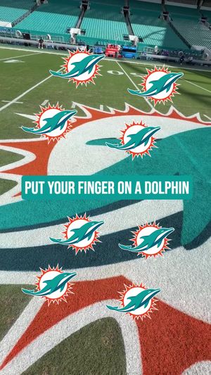 Video post by @miamidolphins on TikTok