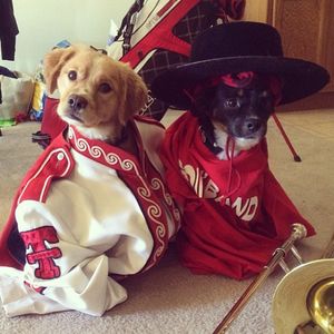 Image post by @texastechathletics on Instagram