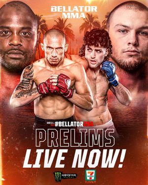Image post by @bellatormma on Instagram
