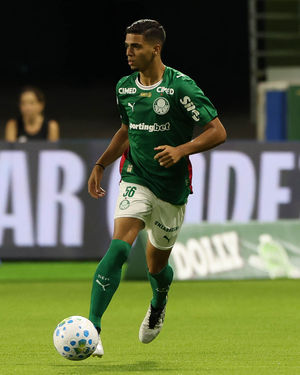 Image post by @palmeiras on Instagram