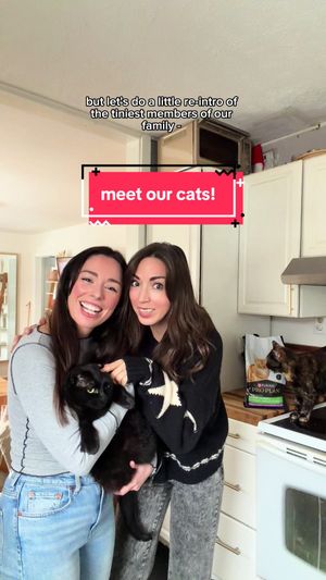 Video post by @allieandsam on TikTok
