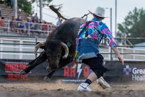 Image post by @ultimatebullfighters on Instagram