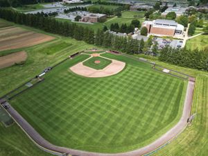 Image post by @kubearsbaseball on Instagram