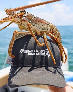 Image post by @freemanboatworks on Instagram