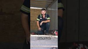 Video post by @merdzictrans on YouTube