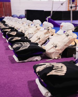 Image post by @uwgymnastics on Instagram