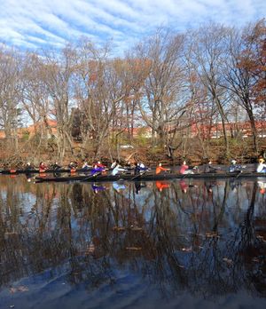 Image post by @bcrowing on Instagram