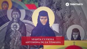 Video post by @trinitastvoficial on YouTube