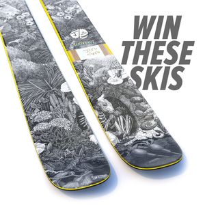 Image post by @j_skis on Instagram