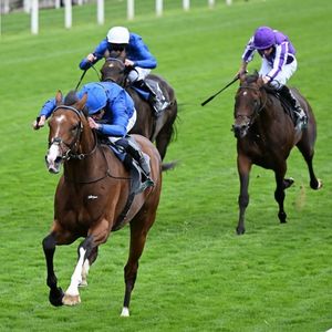 Image post by @racingtv on Instagram