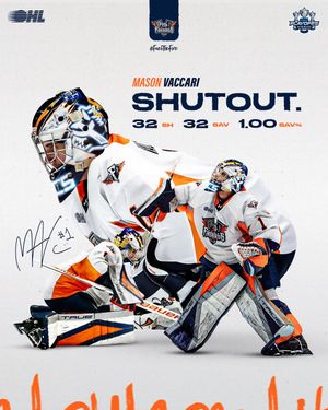 Image post by @flintfirebirds on Instagram