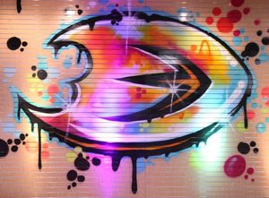 Image post by @anaheimducks on Instagram