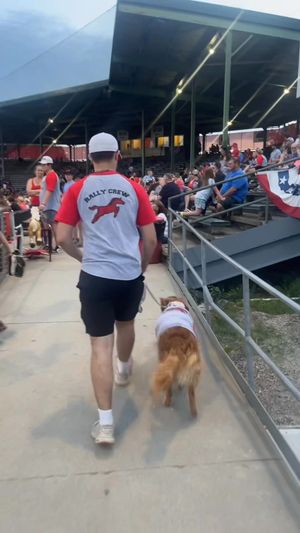 Video post by @stjoemustangs on Facebook