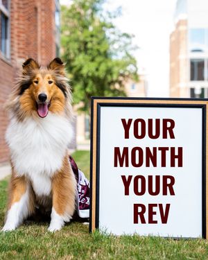 Image post by @tamu on Instagram