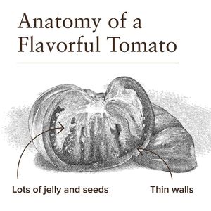 Image post by @cooksillustrated on Instagram