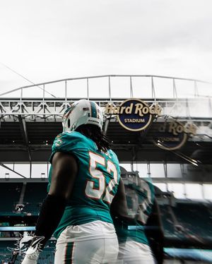 Image post by @miamidolphins on Instagram