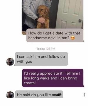 Image post by @emubarstool on Instagram
