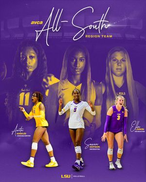 Image post by @lsuvolleyball on Twitter