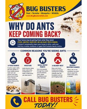 Image post by @bugbustersusa on Instagram