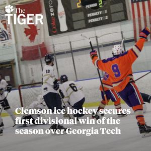 Image post by @thetigersports on Instagram