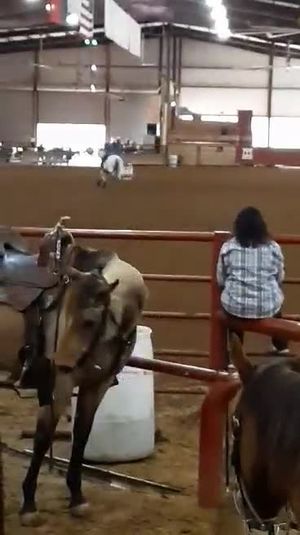 Video post by @jandcbitstexas on Facebook