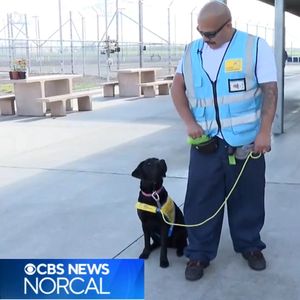 Image post by @canineorg on Instagram