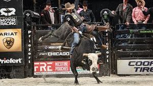 Video post by @pbr on YouTube