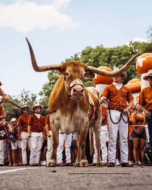 Image post by @TexasFootball on Twitter