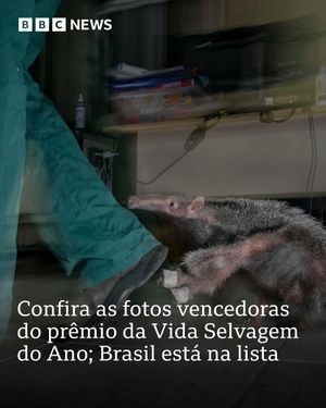 Image post by @bbcbrasil on Instagram