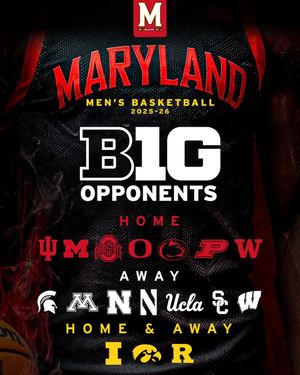 Image post by @terrapinhoops on Instagram