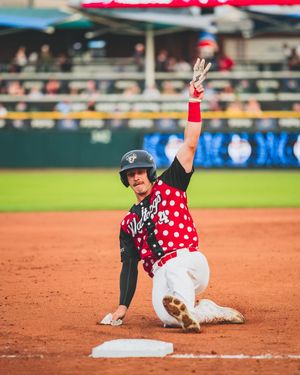 Image post by @saltdogsball on Instagram
