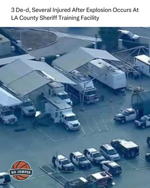 Image post by @nojumper on Instagram