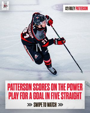 Image post by @ohlicedogs on Instagram