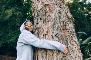 Image post by @teamtrees on Instagram