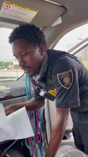 Video post by @DetroitGSD on Facebook