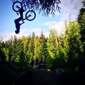 Image post by @whistlerblackcomb on Instagram