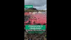 Video post by @laopinionla on YouTube