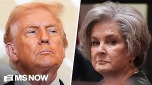 Video post by @msnbc on YouTube