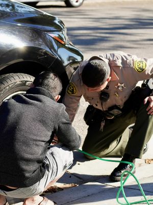 Image post by @temlasd on Instagram