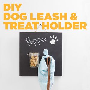 Image post by @petco on Instagram