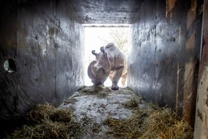 Image post by @natgeo on Instagram