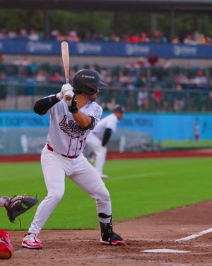Image post by @greatlakesloons on Instagram