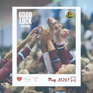 Image post by @mytribevolleyball on Instagram