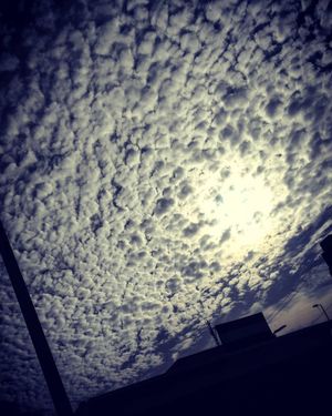 Image post by @faragelo22 on Instagram