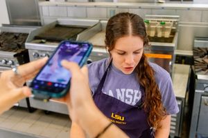 Image post by @lsucampuslife on Instagram