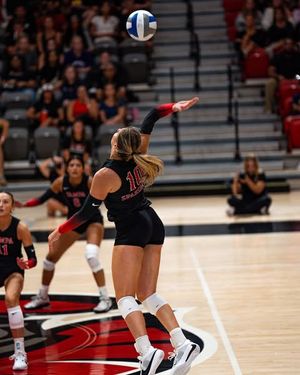 Image post by @utampavb on Instagram