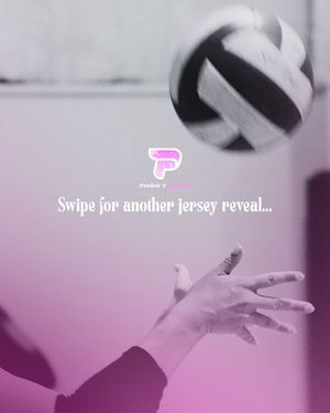 Image post by @PLAvolleyball on Facebook
