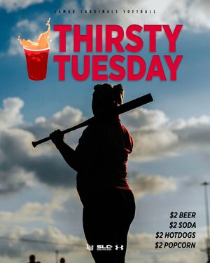 Image post by @lamar_softball on Instagram