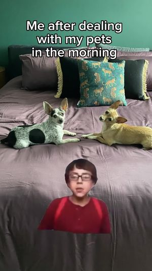 Video post by @oliviamancuso__ on TikTok